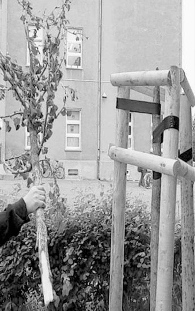 LVZ vom 20./21.05.2006